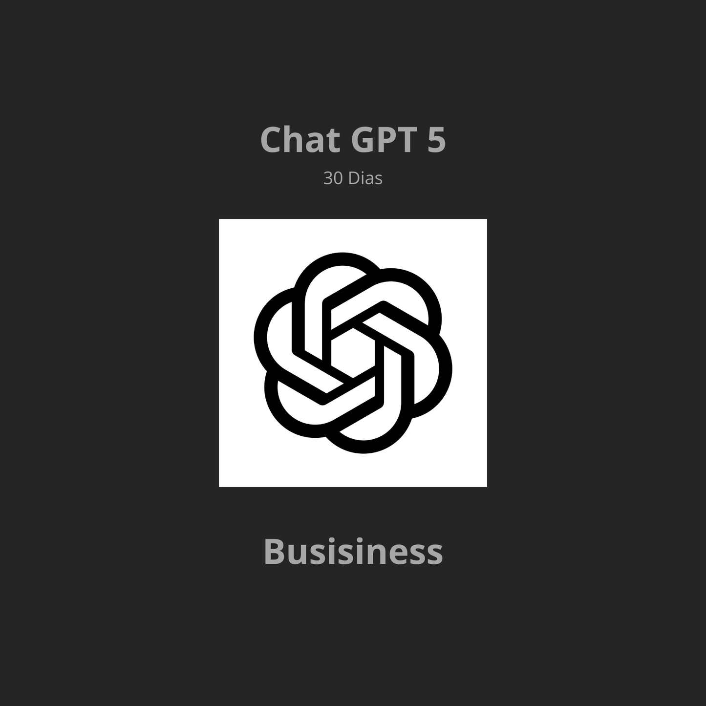 Chat GPT 5 Bussiness - 30 Dias